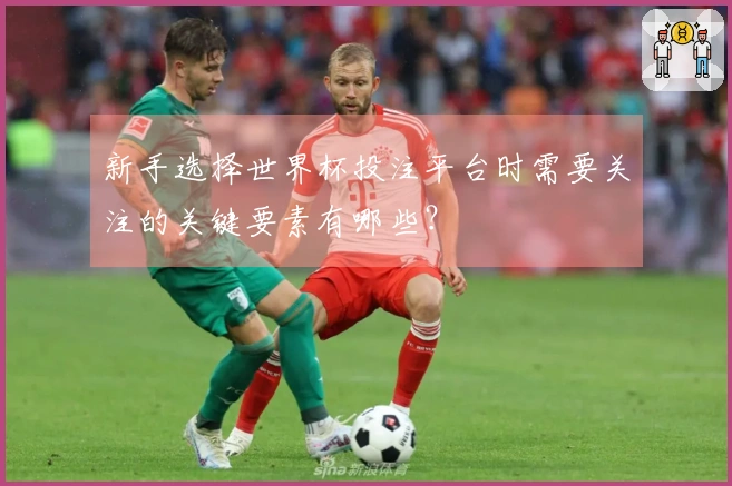 新手选择世界杯投注平台时需要关注的关键要素有哪些？