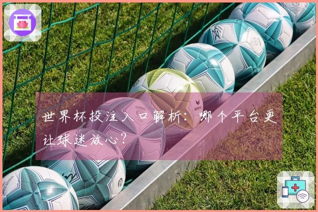 世界杯投注入口解析：哪个平台更让球迷放心？