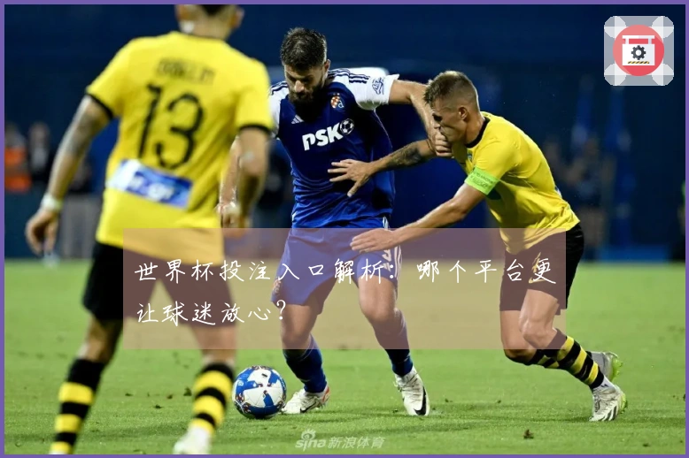 世界杯投注入口解析：哪个平台更让球迷放心？